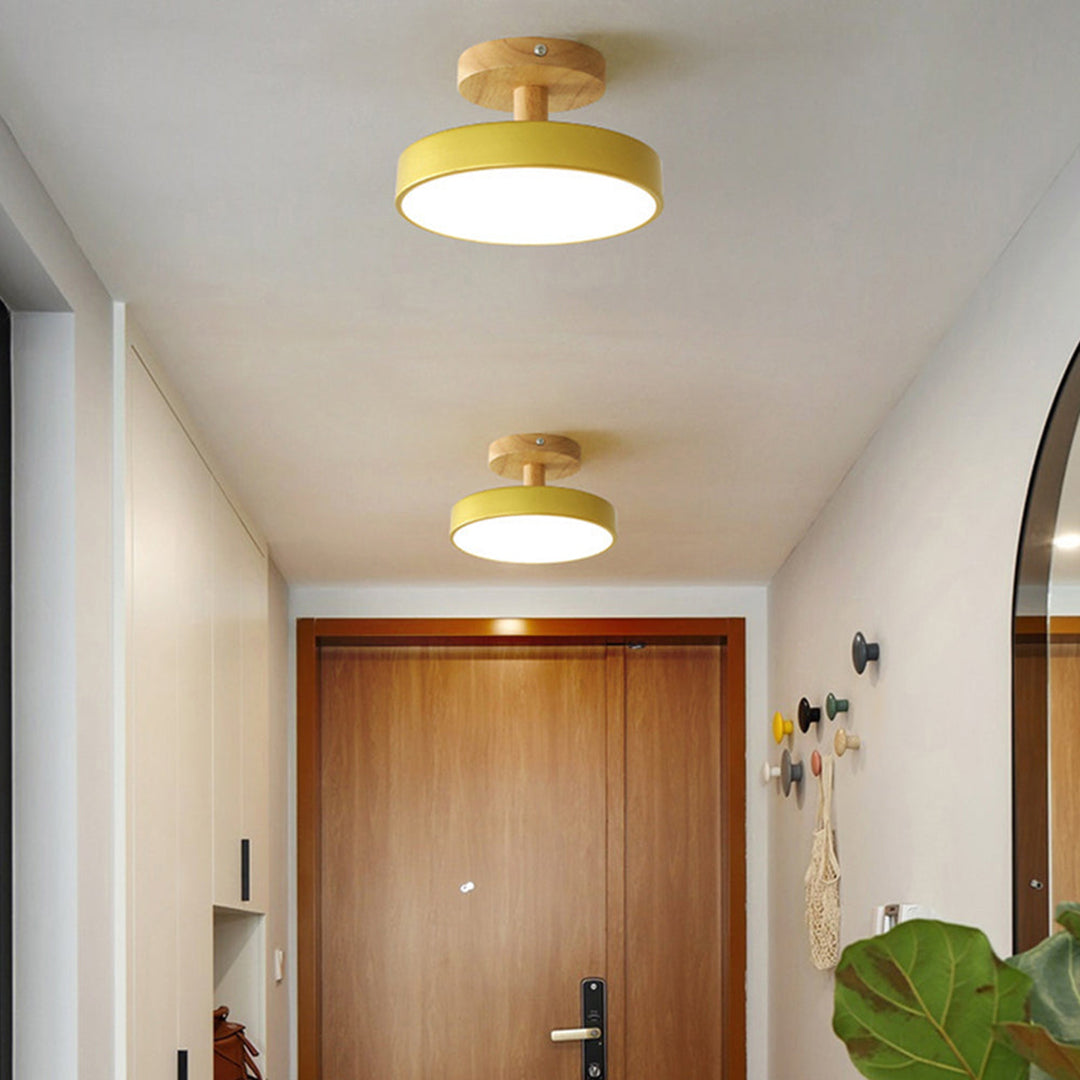 Green Ceiling Lamp – Modern Minimalist Design With Wood And Gold Accents