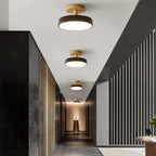 Green Ceiling Lamp – Modern Minimalist Design With Wood And Gold Accents