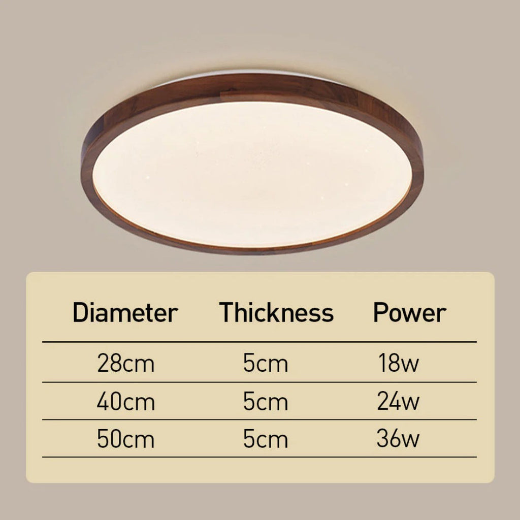 Modern Moon LED Ceiling Light
