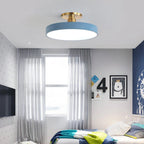 Modern Metal LED Ceiling Light