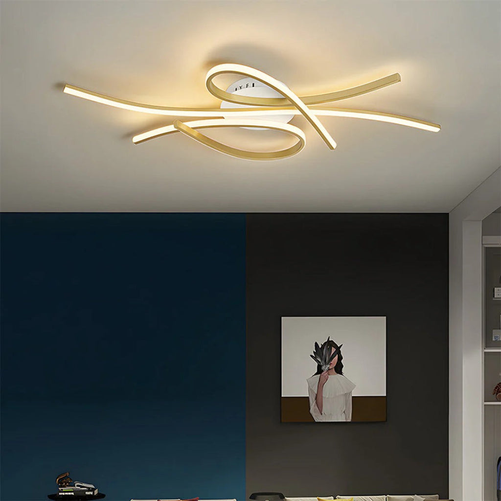 Contemporary LED Ceiling Light