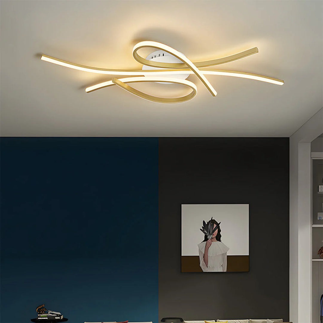 Contemporary LED Ceiling Light