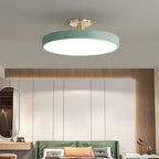 Modern Metal LED Ceiling Light