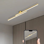Modern Linear LED Ceiling Light
