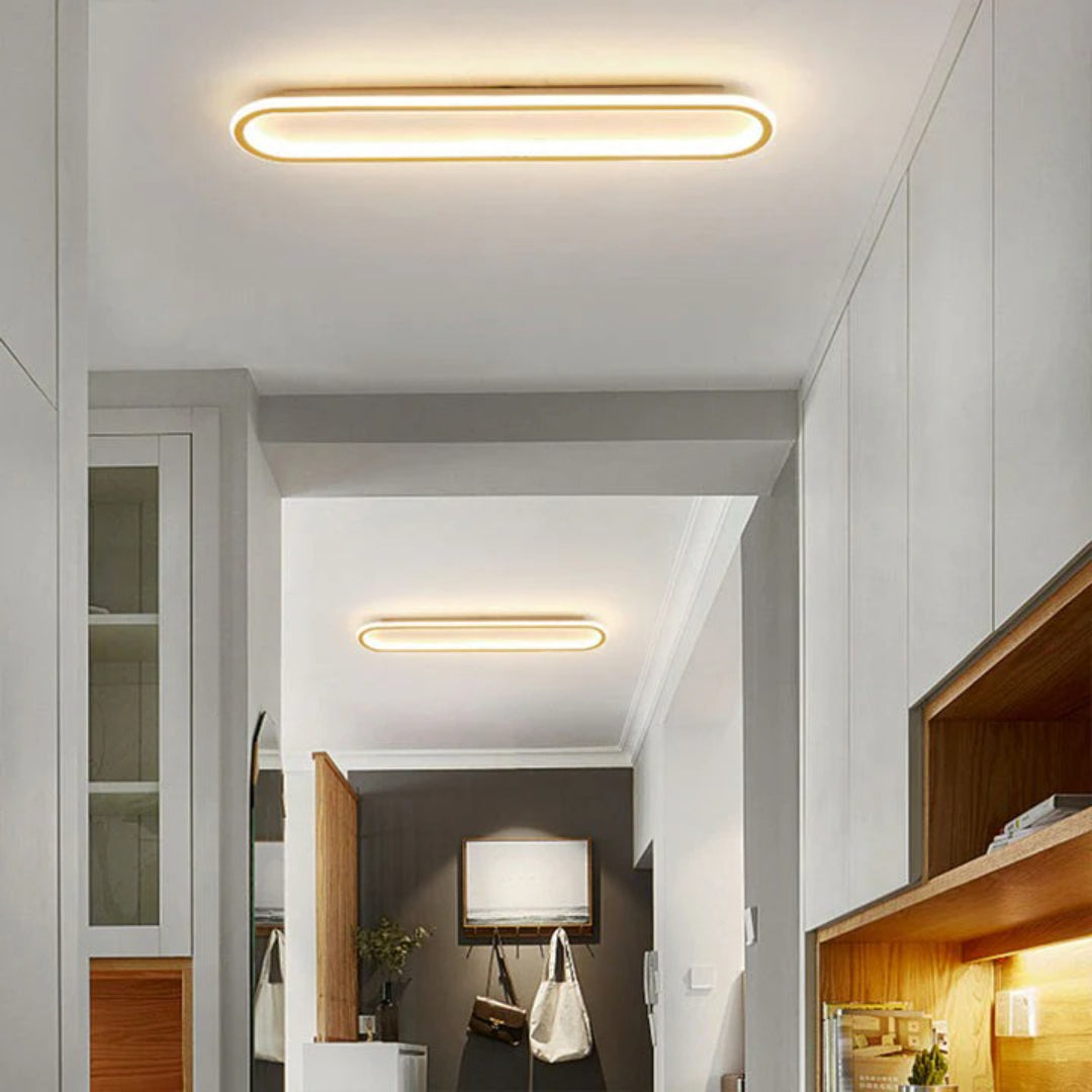 Modern Oval LED Ceiling Light