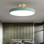 Modern Metal LED Ceiling Light
