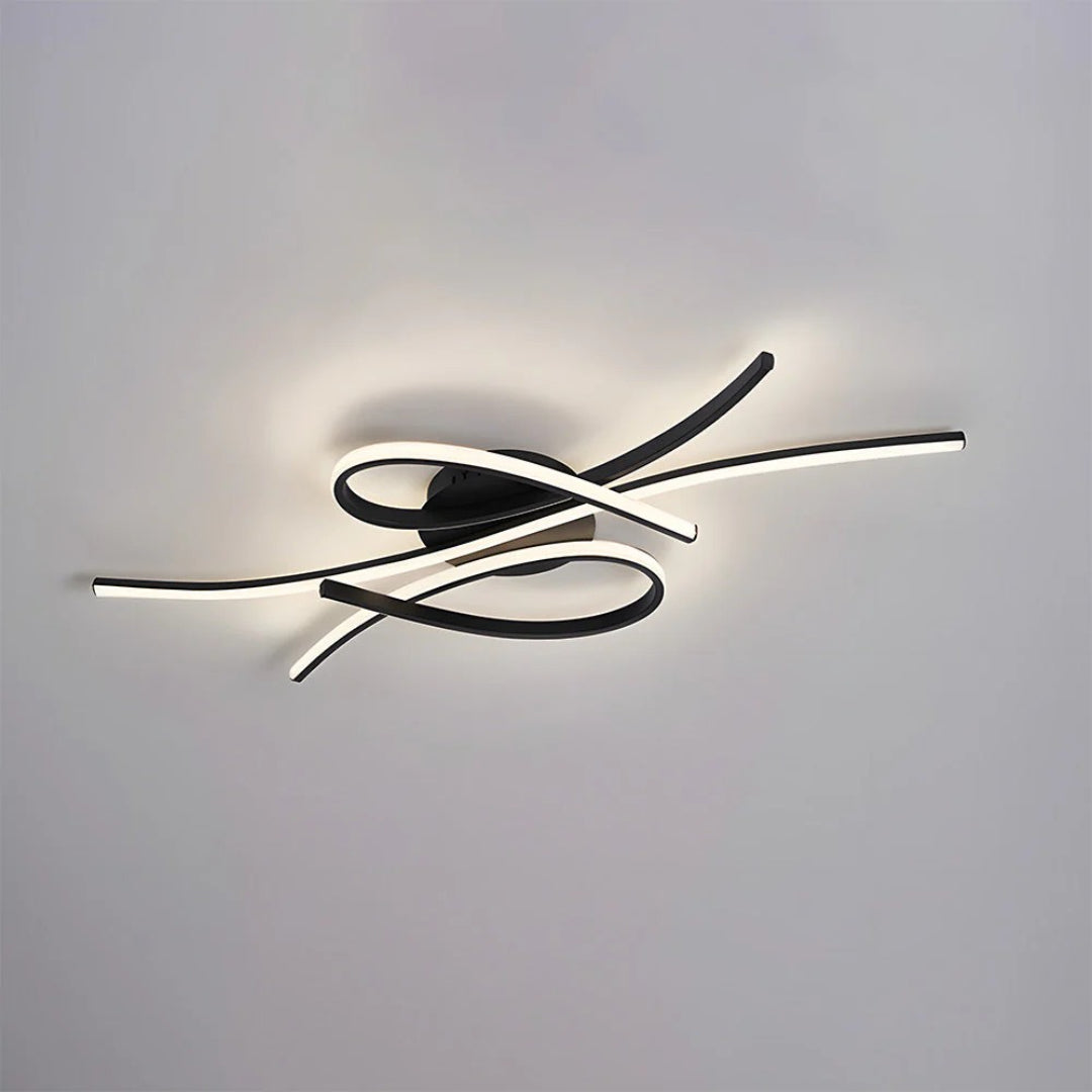 Contemporary LED Ceiling Light