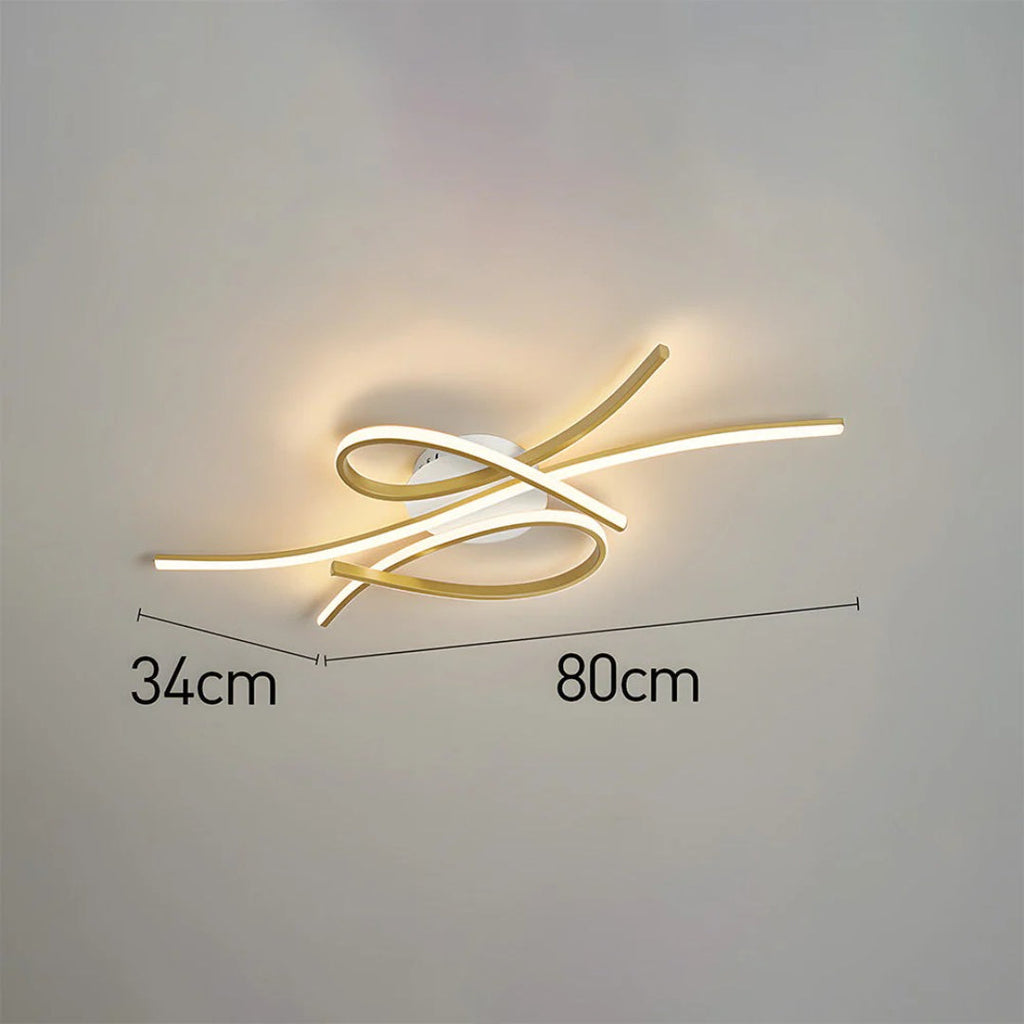 Contemporary LED Ceiling Light