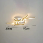 Contemporary LED Ceiling Light