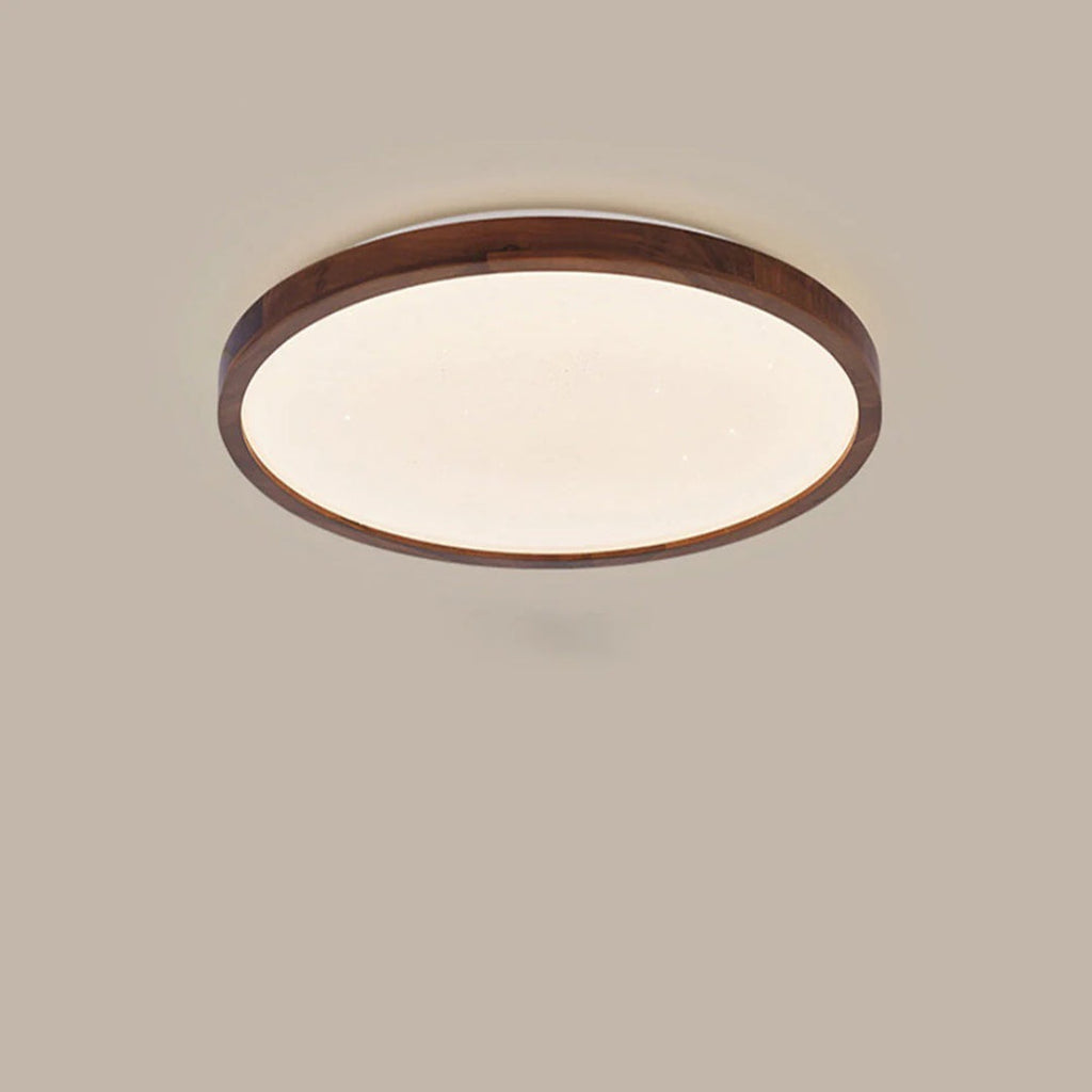 Modern Moon LED Ceiling Light