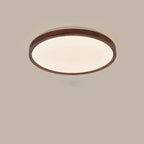 Modern Moon LED Ceiling Light