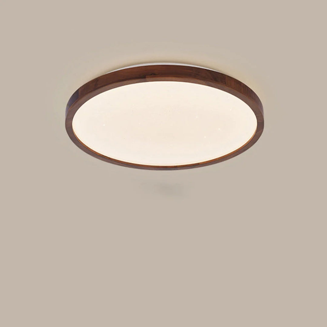 Modern Moon LED Ceiling Light