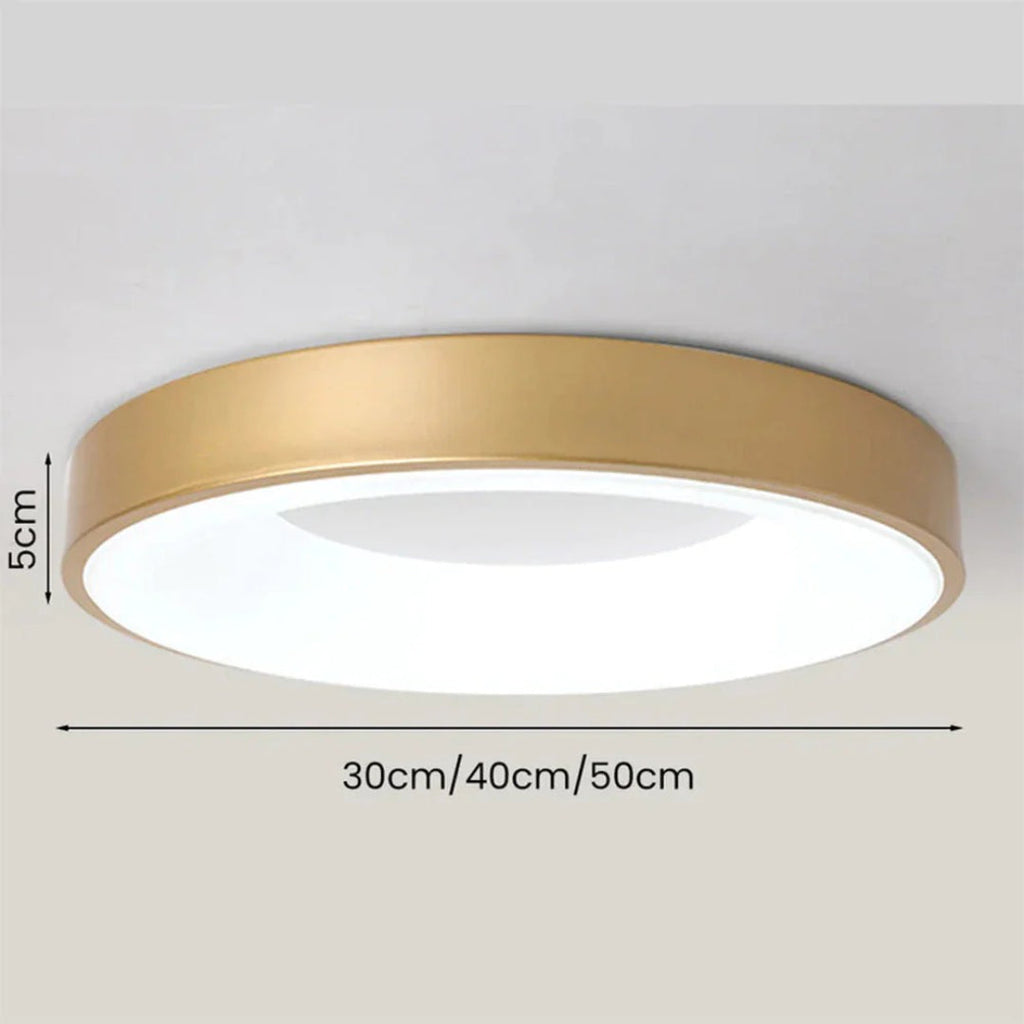 Minimalist Round Acrylic Ceiling Light
