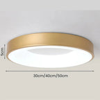 Minimalist Round Acrylic Ceiling Light
