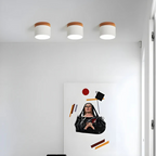 Nordic Wood Accent Ceiling Light Minimalist LED Flush Mount Lamp