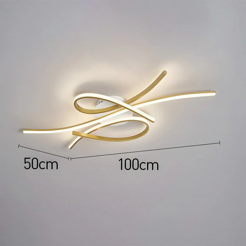 Contemporary LED Ceiling Light