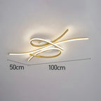 Contemporary LED Ceiling Light