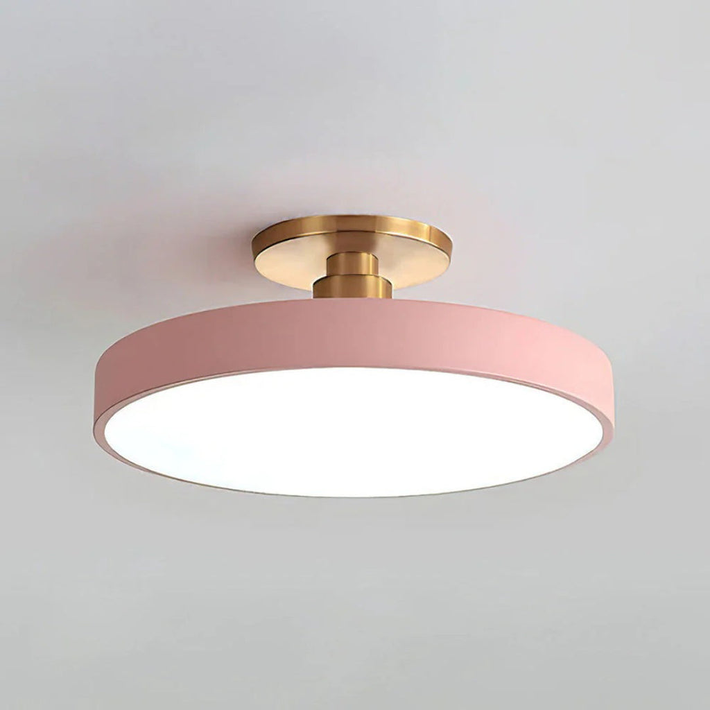 Modern Metal LED Ceiling Light