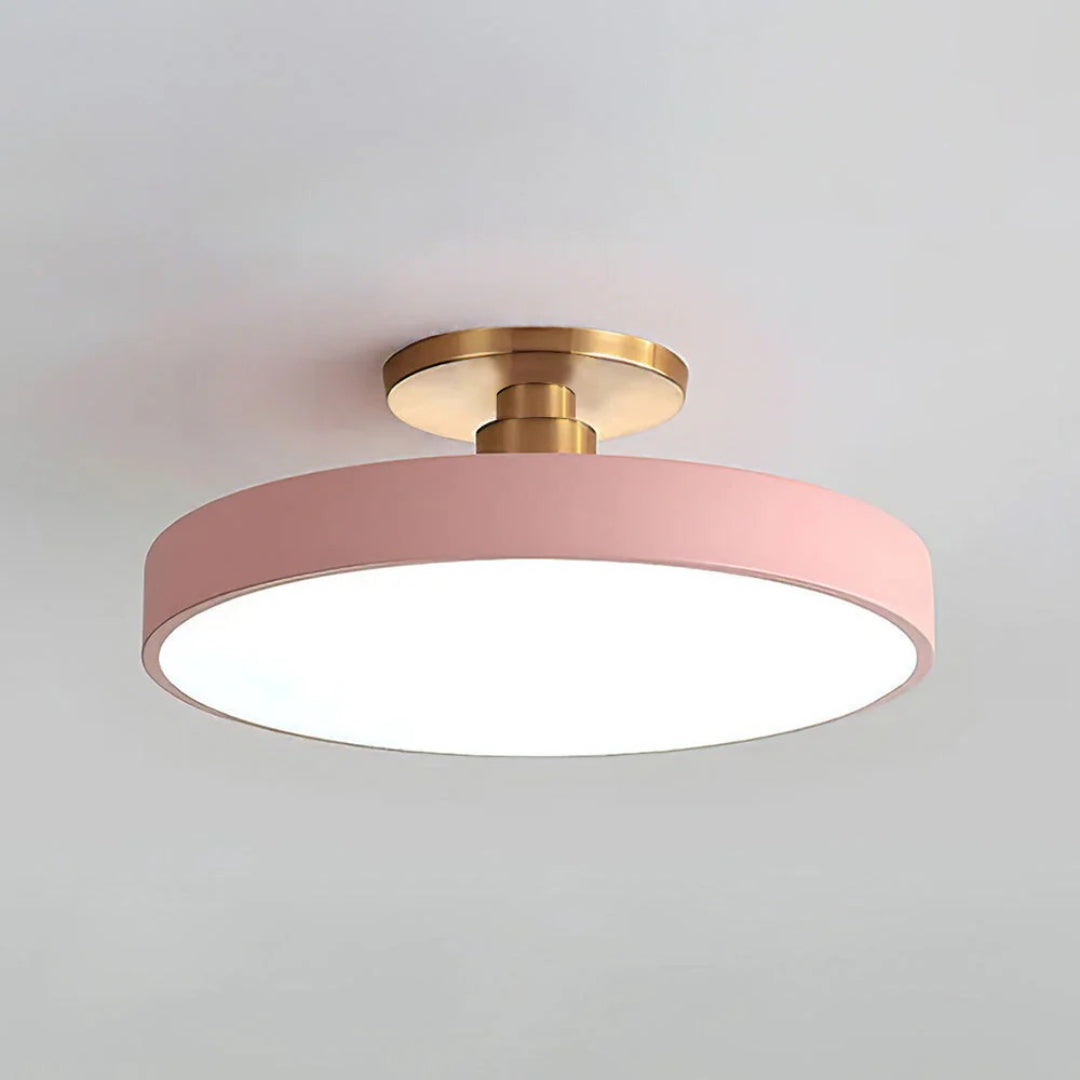 Modern Metal LED Ceiling Light