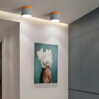 Nordic Wood Accent Ceiling Light Minimalist LED Flush Mount Lamp