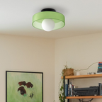 Modern LED Ceiling Lamp