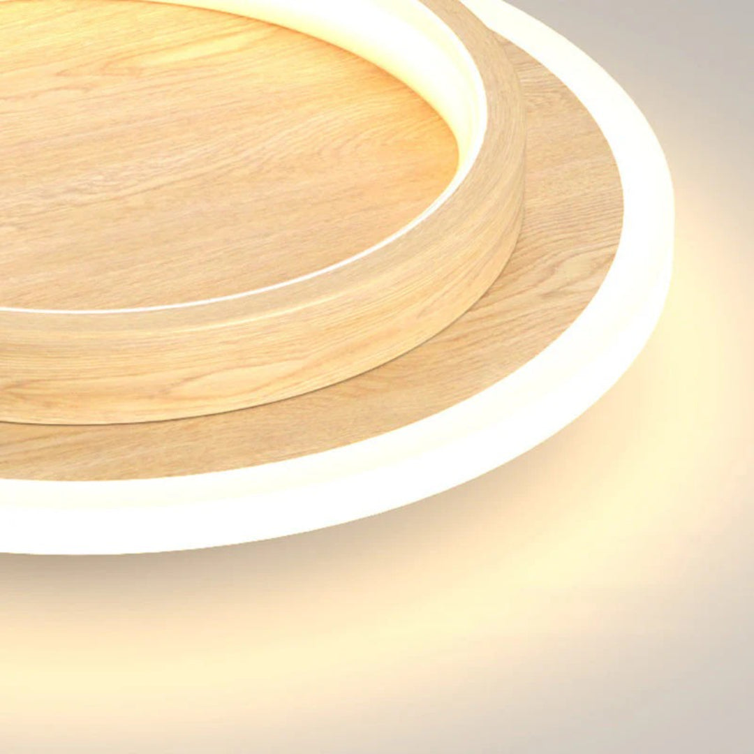 Minimalist Round LED Ceiling Light