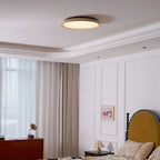 Minimalist Ceiling Lamp – Natural Finish Warm Interior Accent Design