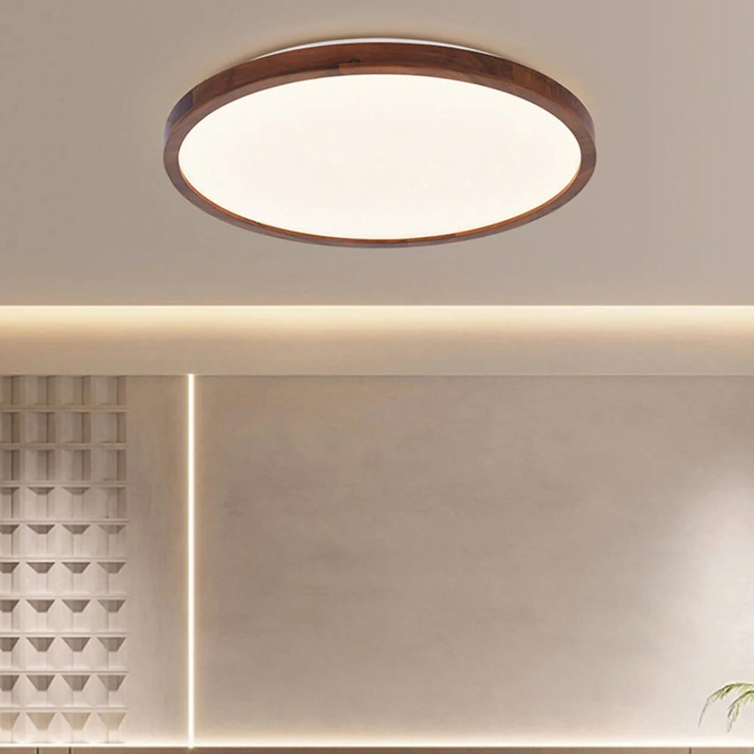 Modern Moon LED Ceiling Light