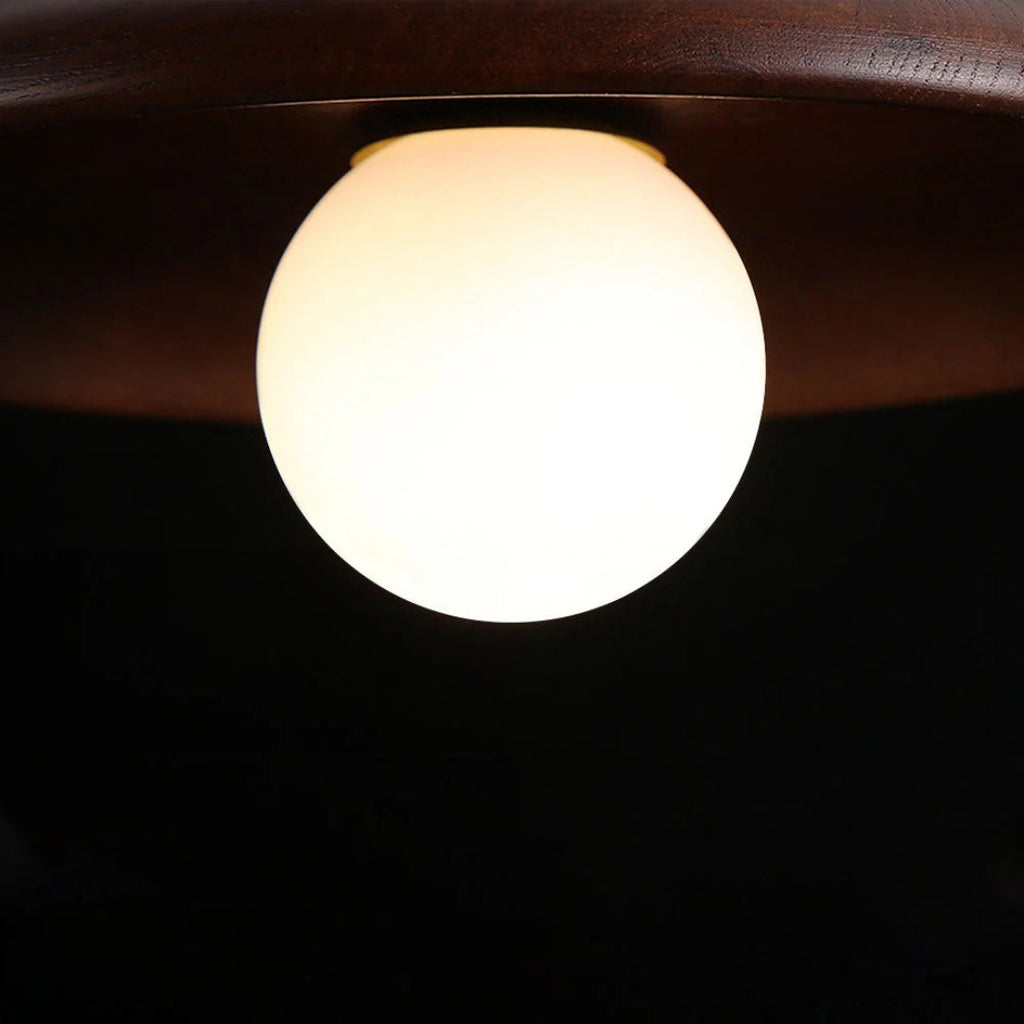 Wooden Globe Ceiling Light