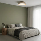 Minimalist Ceiling Lamp – Natural Finish Warm Interior Accent Design