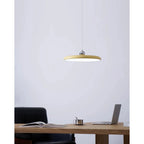 Adjustable Metal Pendant Light