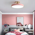 Modern Metal LED Ceiling Light