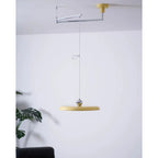 Adjustable Metal Pendant Light