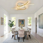 Contemporary LED Ceiling Light