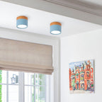 Wood And Metal Ceiling Lamp – Small Cylindrical Modern Accent Design