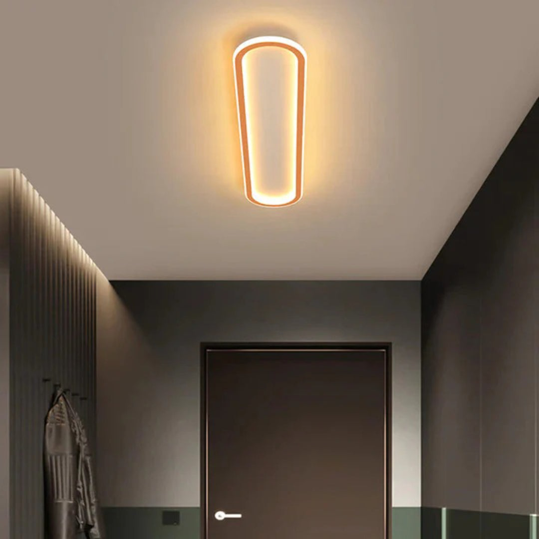 Modern Oval LED Ceiling Light