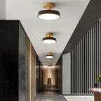 Green Ceiling Lamp – Modern Minimalist Design With Wood And Gold Accents