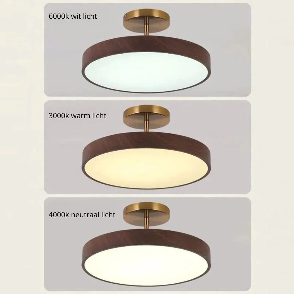 Contemporary Round Ceiling Light