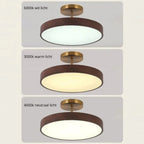 Contemporary Round Ceiling Light