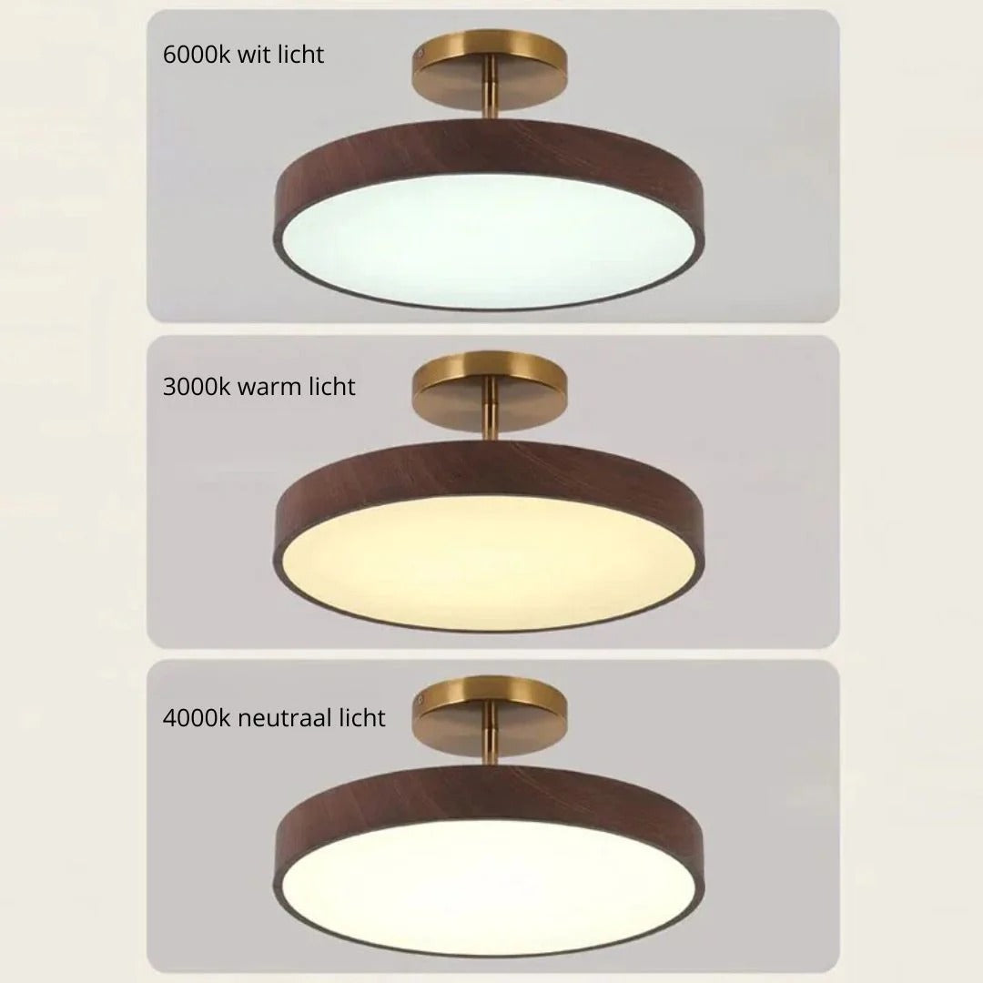 Contemporary Round Ceiling Light