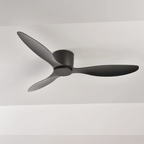 Modern Ceiling Fan with Remote Control