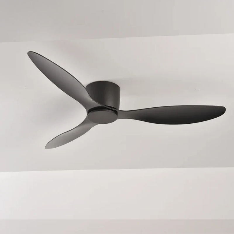 Modern Ceiling Fan with Remote Control