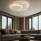 Minimalist Asymmetrical LED Ceiling Light