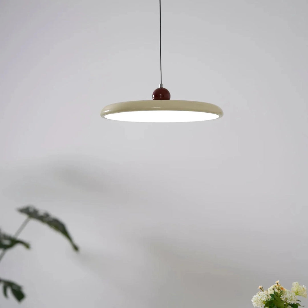 Adjustable Metal Pendant Light