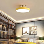 Modern Metal LED Ceiling Light