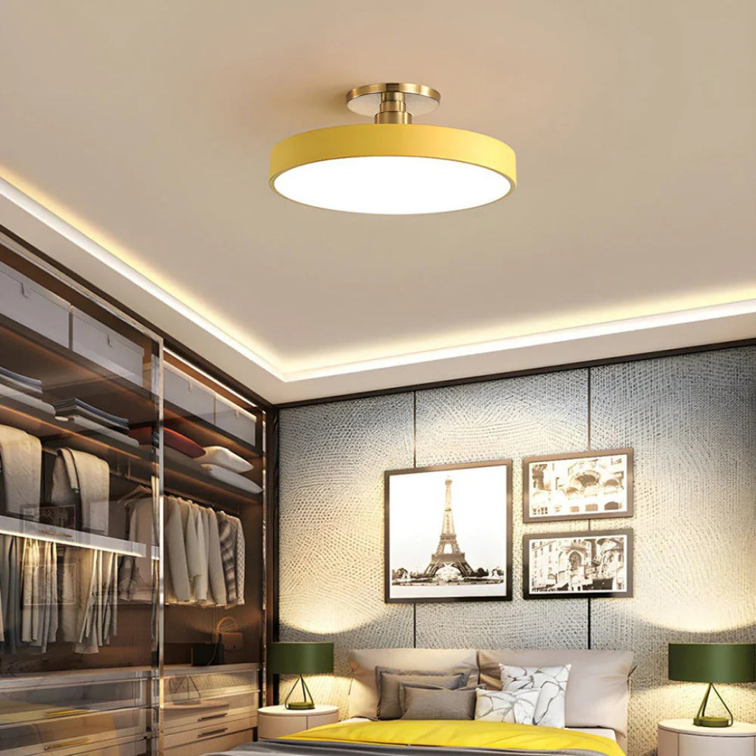 Modern Metal LED Ceiling Light