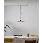 Adjustable Metal Pendant Light