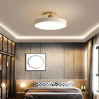 Modern Metal LED Ceiling Light