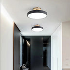 Modern Metal LED Ceiling Light