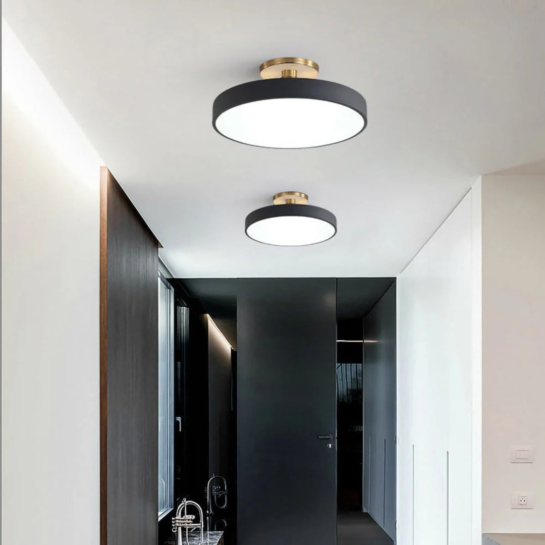 Modern Metal LED Ceiling Light